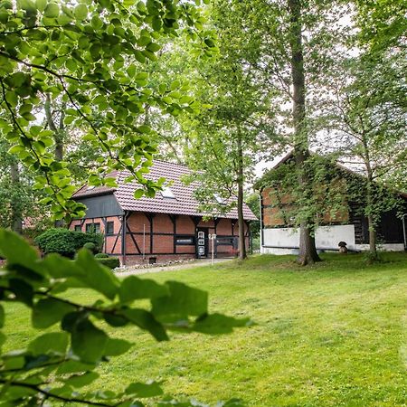 Traumhaftes Anwesen In Der Lueneburger Heide Apartamento Soltau Exterior foto