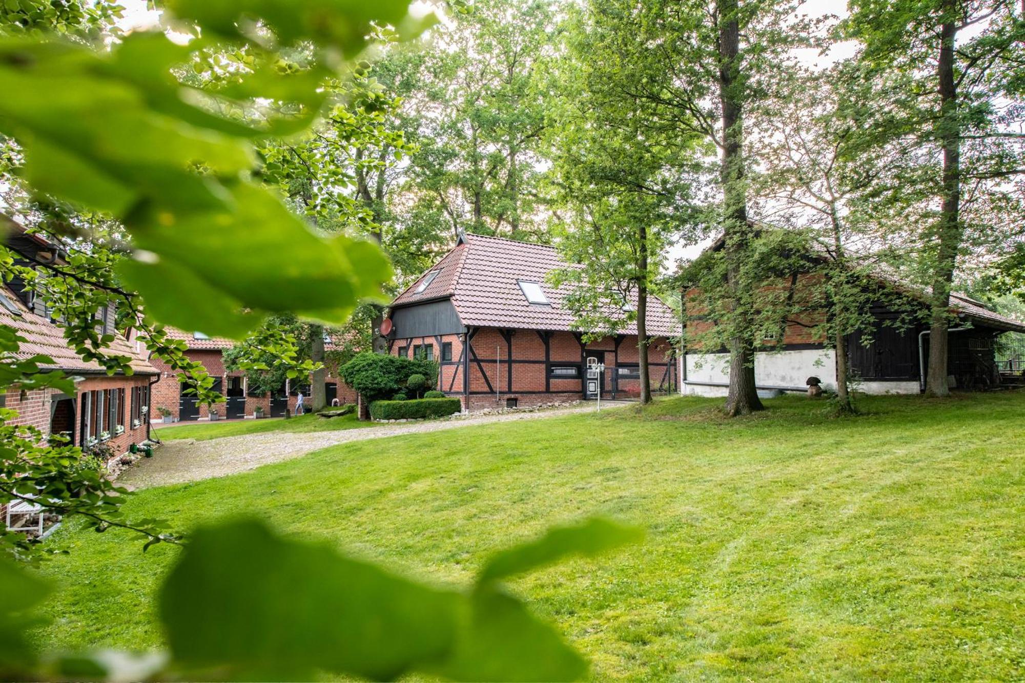 Traumhaftes Anwesen In Der Lueneburger Heide Apartamento Soltau Exterior foto